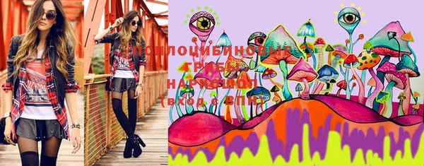 герыч Лагань